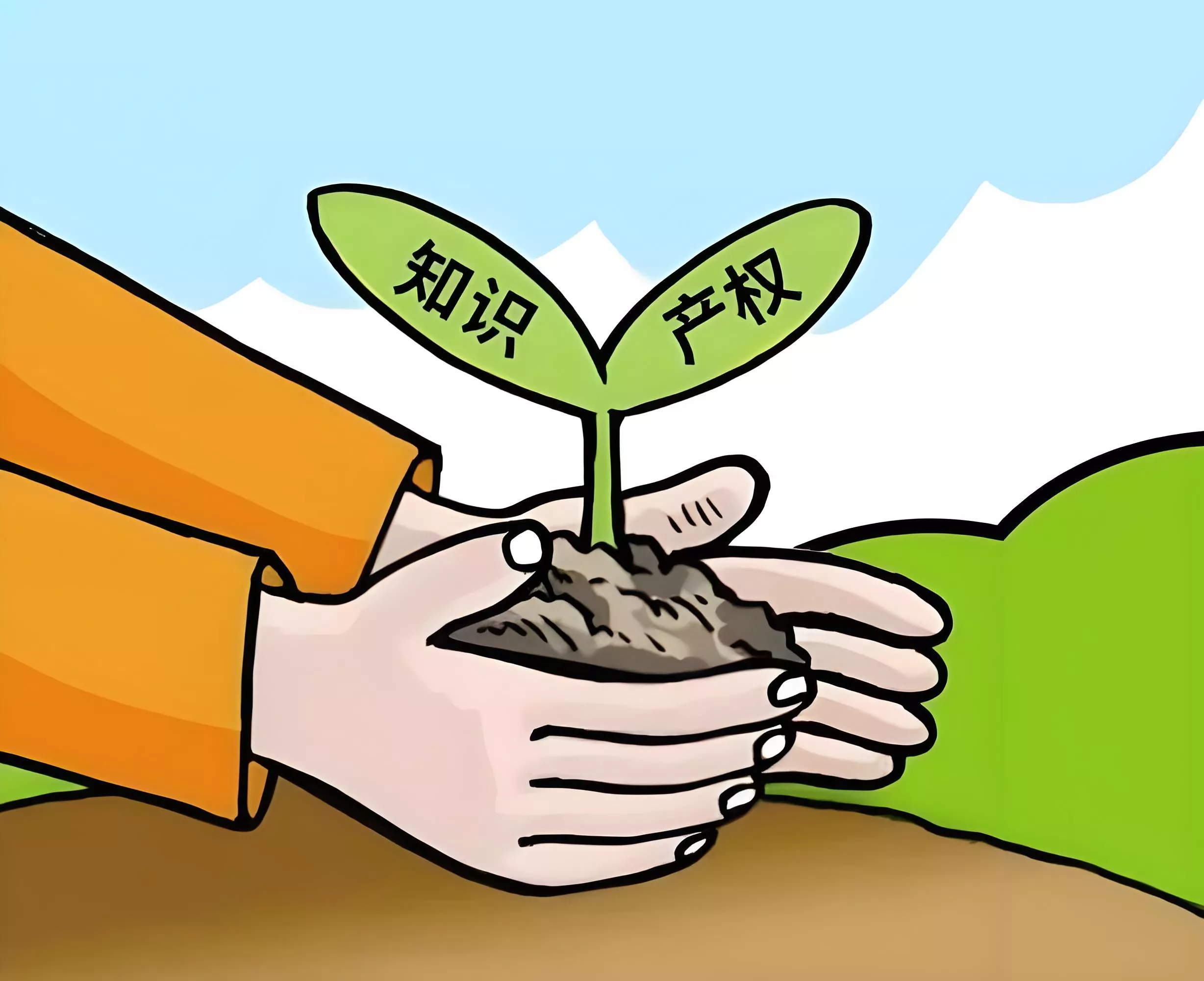 知识产权